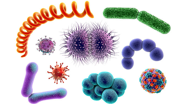 The tiny world of microbes- they might be small but they are mighty!