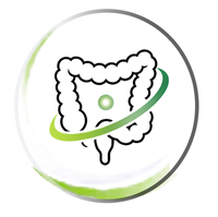 Gut Health & Digestion