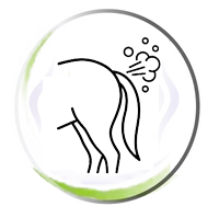 Digestive Discomfort & Flatulence