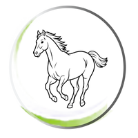 Enhanced Energy & Vitality