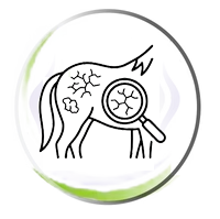 Susceptibility to Skin Conditions